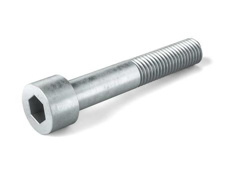 Cylinder screws 